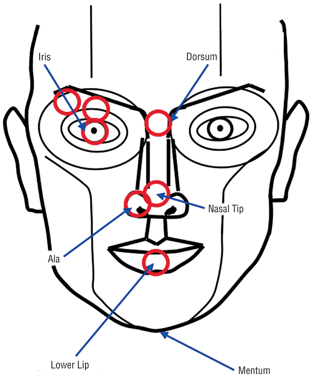 Cosmetic Surgery Beauty Theory Primary Circles of Prominence